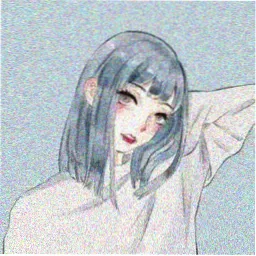 用户白桦的头像
